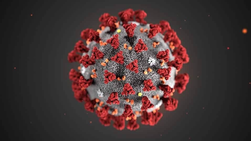 coronavirus news covid-19 Italia sanzioni cosa fare coronavirus cosa fare coronavirus sanzione